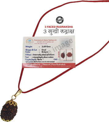 Kuttumb Gems & Jewels 3 mukhi rudraksha pendant Gold-plated Plated Brass Necklace