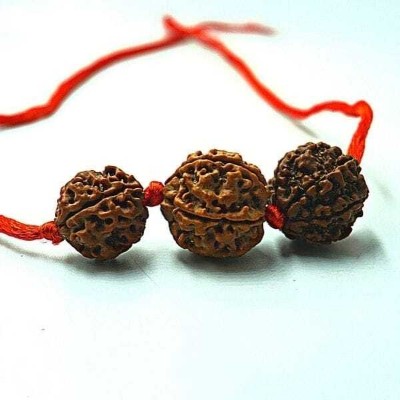 Rudraksham Shani Kawach For Scorpoi (Vrishchik) Rudraksha Mala By RUDRAKSHAM Rudraksha Chain