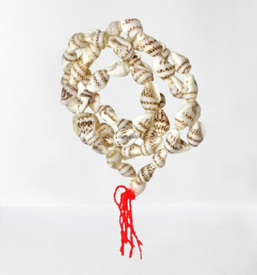 GODHEAD Conch Shell Mala /shankh mala/Pooja, Health, Wealth, Protection, Prosperity Shell Chain