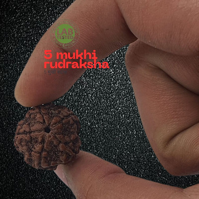 memstomuch Locket 5 Mukhi / 5 Face Rudraksha Original Certified Plated Beads Wood Choker