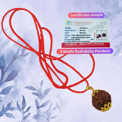 BHAKTI Kripalu Store Lab Certified Natural 6 Mukhi Rudraksha Bead six Face Rudraksh Bead Pendant Beads Gold-plated Plated Brass, Wood Chain Set
