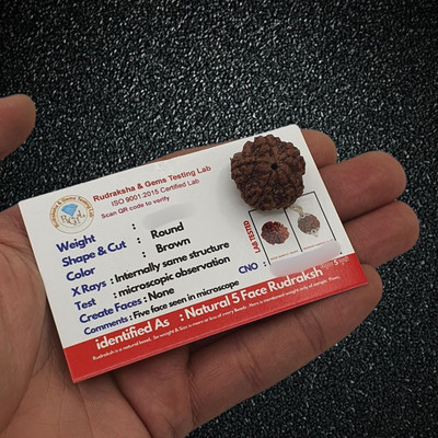 kripaurban 5 Mukhi Nepali Rudraksha Five Face Rudraksh With Original Quality Certificate Beads Wood Locket
