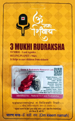 Robin Export Company 3 Mukhi Nepali Rudraksha three face With Lab tested Certificate Sterling Silver Beads Wood