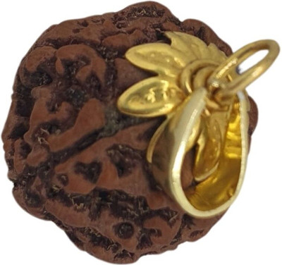 A1 yashvriddhi 6 Mukhi Rudraksha six Faced chhah Nepali Rudraksh Bead Original & Certified Beads Gold-plated Plated Brass, Wood Chain