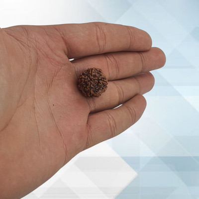 Lazy Collection Real four Faced Rudraksha 4 Mukhi Rudraksha Pendant in Silver Plated Cap Beads Wood Locket Set