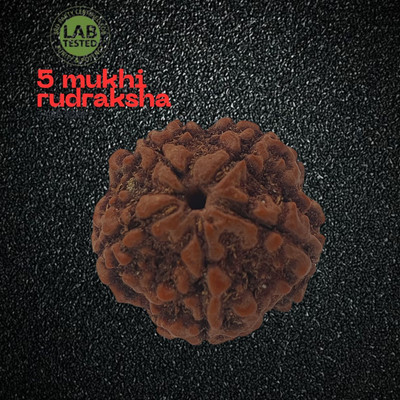 KitaboJi Samagri 5 Mukhi Rudraksha Five face Panchmukhi Rudraksha Nepali with Lab Certificate Beads Wood Chain Set