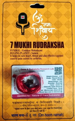 Robin Export Company 7 Mukhi Nepali Rudraksha Seven face With Lab tested Certificate Sterling Silver Beads Wood