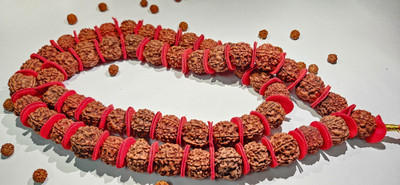 Rudraksham Kantha Mala Rudraksha | 5 Mukhi Nepali Big Rudraksha Mala Rudraksha Chain