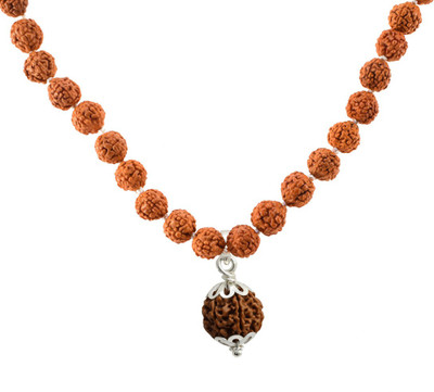 SPRIGEMS For Vrishabh & Tula Rashi 6Mukhi Nepali Rudraksha With 108 Bead Mala Beads Silver Plated Wood Chain