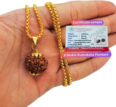 Fine Creation Certified 6 Mukhi Rudraksha six Faced Rudraksha Original Rudraksha Locket Beads Gold-plated Plated Brass, Wood Chain Set