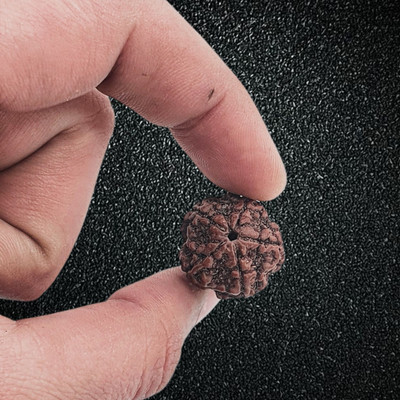 AllenDazzy 5 Faced Rudraksha Pendant Five-Faced Orignal Pendant For Unisex Beads Wood Pendant Set