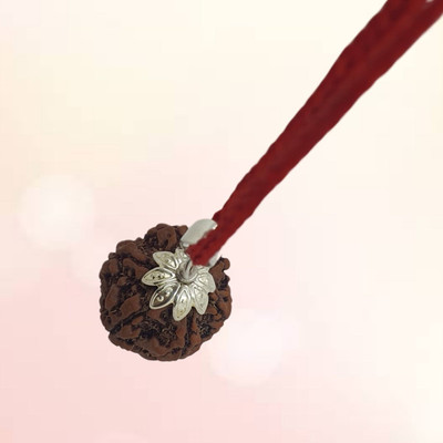 Khushal ENTERPRISE Purest Astrological Original Natural 5 Mukhi/Five Faced Nepali Rudraksha Pendant Beads Silver Plated Brass, Wood Chain