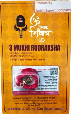 Robin Export Company 3 Mukhi Nepali Rudraksha three face With tab tested Certificate Beads Sterling Silver Plated Rudraksha Chain