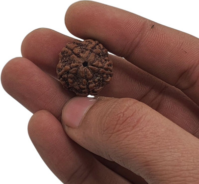 AstroVidhanart 5 Mukhi Rudraksha Beads Wood Chain Set