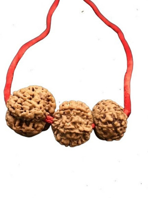 Rudraksham Health Rudraksha Kavach 5 mukhi, 6 Mukhi, 9 mukhi Rudraksha Rudraksha Chain