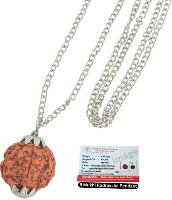 A1 yashvriddhi 5 Mukhi Rudraksha Nepal Original five Face Rudraksha Metal Capped Beads Silver Plated Brass, Wood Chain