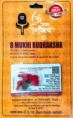 robin collection 8 Mukhi Nepali Rudraksha Eight Faced Rudraksh Bead Certified for Men and Women Sterling Silver Beads Wood
