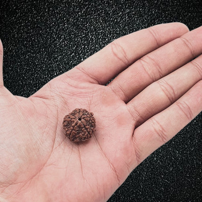Nirvana Mukhi 5 Mukhi Nepali Rudraksha Panch Mukha Five Face Mantra Siddha Rudraksh Beads Wood Necklace