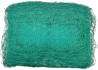 I2SERVICES Premium cricket net 10x10ft Nylon Net -117 Cricket Net(Green)