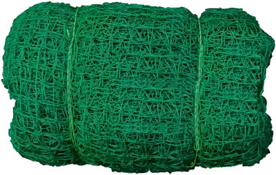 I2SERVICES Premium cricket net 10x10ft Nylon Net -106 Cricket Net(Green)
