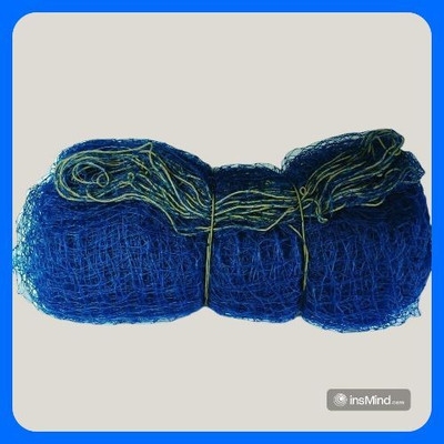 clickon Co_New_Cricket Nylon Game Net Cricket Net(Blue)