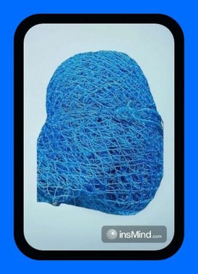 clickon Co_New_Cricket Champion Net 90x10 Feet-N Cricket Net(Blue)