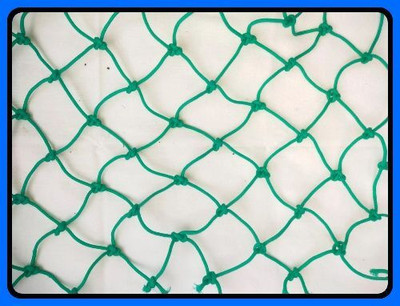 clickon Co_New_Cricket net for home practice 80x10 Feet-N Cricket Net(Green)