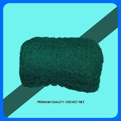 Gulshan Sports Gs_Cricket Nylon High-Quality Performance Net 90x10 Feet Cricket Net(Blue)