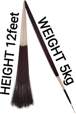 FARUK FISHNET 2no. 26mm MESH,ROUND-55feet, WEIGHT-5kg, HEIGHT-12feet (WHITE & MAROON) Fishing Net(White, Maroon)