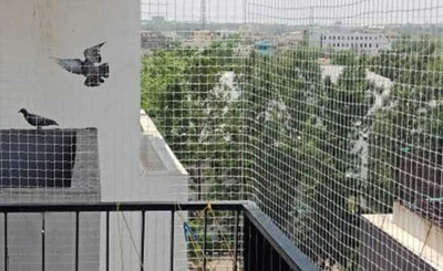 Kedarnath Traders Medium Bird Net 10x12 Bird Net(Multicolor)