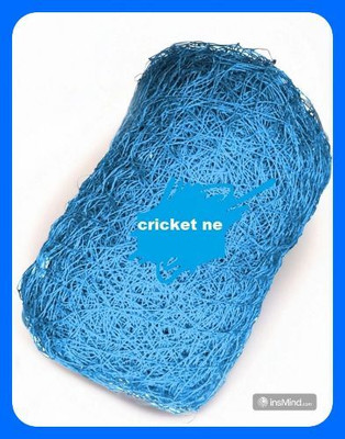 Gulshan Sports Gs_Cricket Net Keepning/Batting Practice Size Blue 60*10 Feet Cricket Net(Blue)