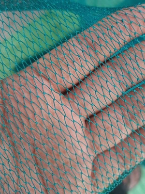 Amur Anti Bird Net / Garden Net 5 x 18 Feet 90 SQ FT HDPE Nylon Balcony Net Hiking Net(Green)