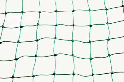I Geon Anti Bird Control with Strong Nylon 8x10 80 sqft Bird Net(Green)