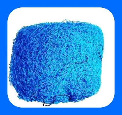 clickon Co_New_Cricket Play Nylon Net Cricket Net(Blue)