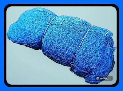 clickon Co_New_40x10 Feet Cricket Nylon Professional Training Net-N Cricket Net(Blue)