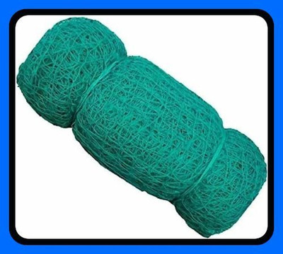 Azure ZNew_Cricket Net Keepning/Batting Practice Size green 60*10 Feet-N Cricket Net(Green)