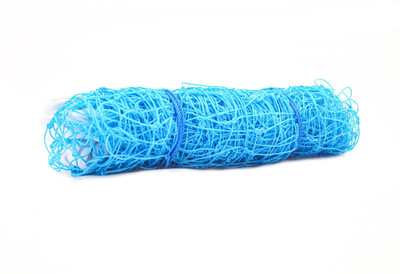 Azure Nylon 10x10 Foot Anti Bird & Window Protection Cricket Net(Blue)