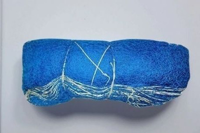 clickon Co_RNew_Cricket Play Net Cricket Net(Blue)