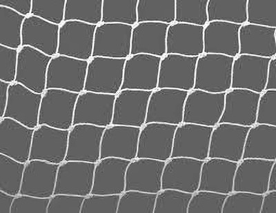 GreenLife UV STABILIZED ANTI BIRD NET/PIGEON NET 10 FEET X6 FEET WITH ATTCHE TIE Bird Net(White)