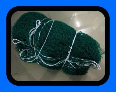 Gulshan Sports Gs_Cricket net for home practice :- Size 50x10 Feet_012-N Cricket Net(Green)