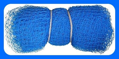 clickon Co_New_Cricket Sports Nylon Net Cricket Net(Blue)