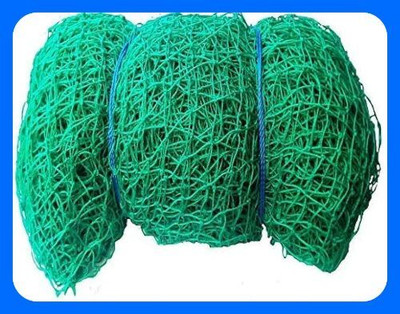 Gulshan Sports Gs_Cricket Workout Nylon Net 40x10 Feet Cricket Net(Blue)