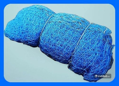 clickon Co_New_40x10 Feet Cricket Nylon Professional Training Net Cricket Net(Blue)