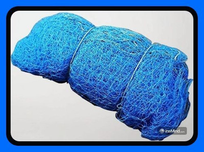 Gulshan Sports Gs_30x10 Feet Cricket Nylon Champion Training Net-N Cricket Net(Blue)