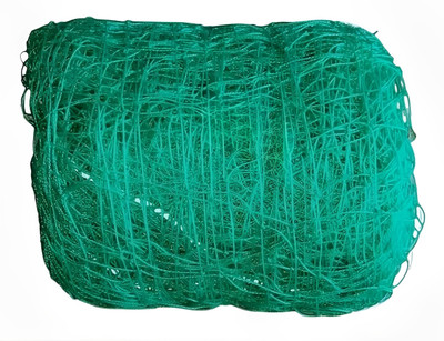 I2SERVICES Cricket Net 10x10ft - Durable Nylon HDPE Practice Net -119 Cricket Net(Green)