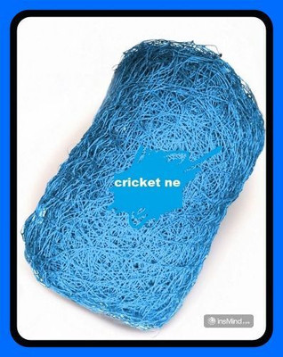 Azure ZNew_Cricket Net Keepning/Batting Practice Size Blue 60*10 Feet-N Cricket Net(Blue)