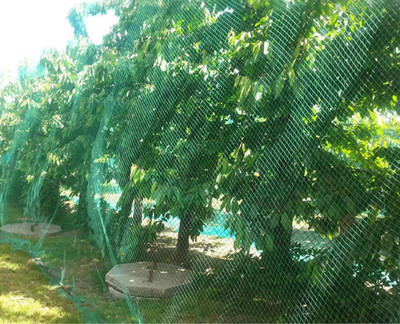SpikeZone Anti Bird Net 6 X 10 Foot Net Camping Net(Multicolor)
