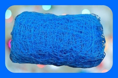 Gulshan Sports Gs_Cricket Performance Nylon Net 70x10 Feet Cricket Net(Blue)