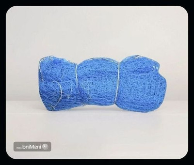 Gulshan Sports Gs_Cricket Nylon Tough Net 30x10 Feet-N Cricket Net(Blue)