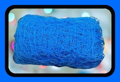 clickon Co_New_Cricket Performance Nylon Net 70x10 Feet-N Cricket Net(Blue)